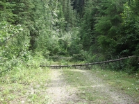 Amiskwi Trail